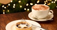 Get a FREE Luxury Mince Pie Tart at Dobbies Garden Centres with your Record