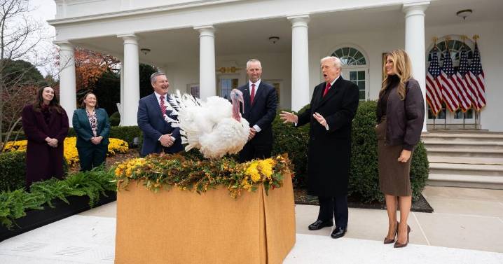 Trump spares turkeys, but not his political opponents, at annual pardoning ceremony