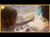 How to adjust your kids' bedtime for daylight saving time