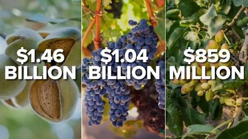 Fresno back on top of agricultural production in the US, but farmers fear for the future