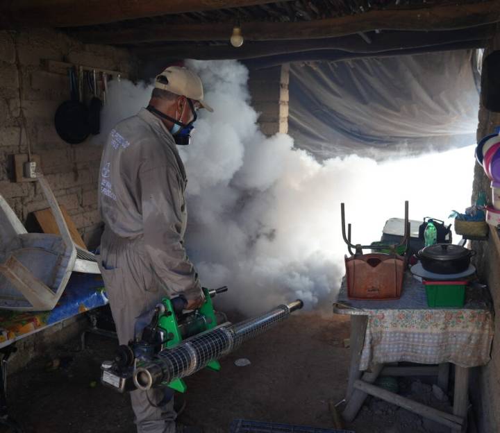 Se intensifican las acciones de prevención contra el dengue