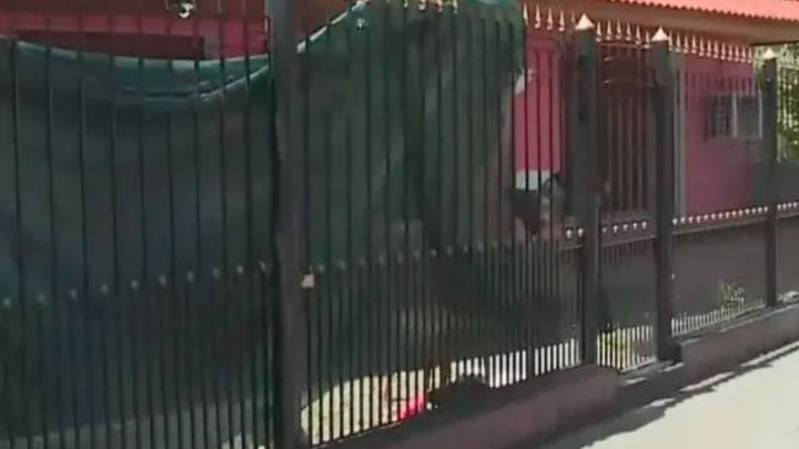 Una adolescente asesinó a puñaladas a su novio, llamó a la Policía y se escapó