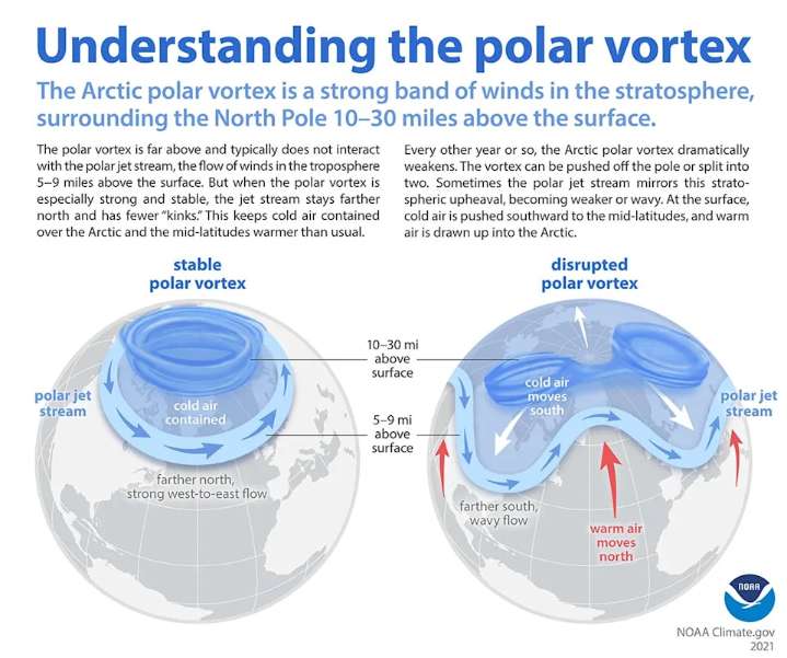 Uh oh. The dreaded polar vortex may be making an appearance very soon