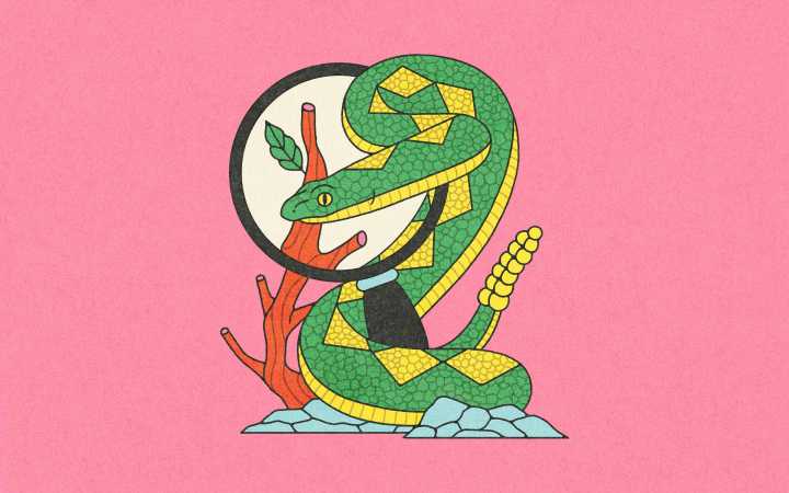 Word Wrangler: November 1, 2025