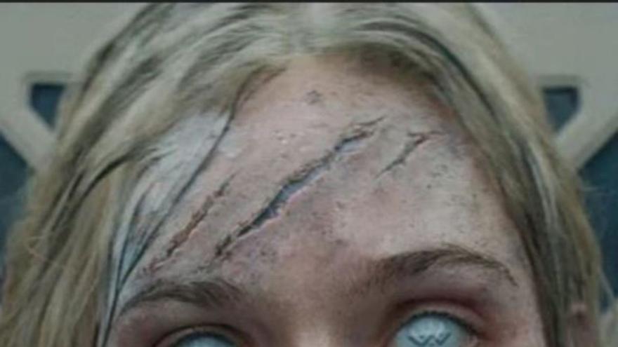 Depredador acorralado