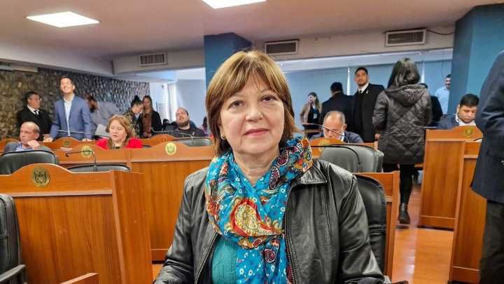 Destacan la importancia de la media sanción del plan de prevención del embarazo adolescente