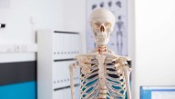 Score! Doctor Left A Cool Skeleton In Room For You To Play With