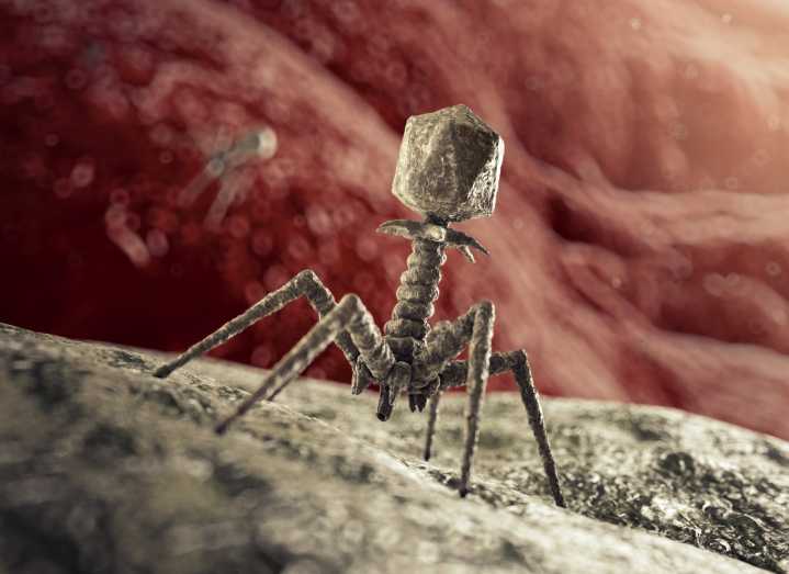 Entirely Synthetic Bacteriophages Could Treat Antibiotic