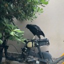 Rescataron un ave de montaña herida en una vivienda de Cipolletti