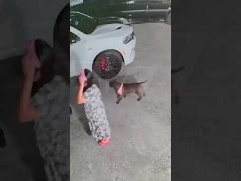 New footage shows more of the home invasion at Tekashi 6ix9ine’s Florida home involving his mom