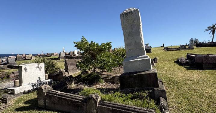 Wollongong cemeteries will be inspected for safety risks.