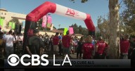 A preview of the Los Angeles Walk & Roll to cure ALS