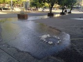 Desbordamiento de aguas negras en Centro Comercial Venezuela causa estragos en...