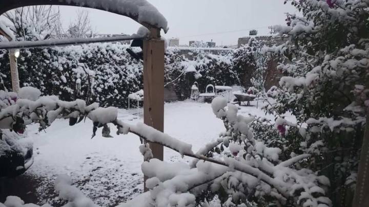 Primera Tormenta Invernal Abandonará México pero Frente Frío 16 se Convertirá en Estacionario