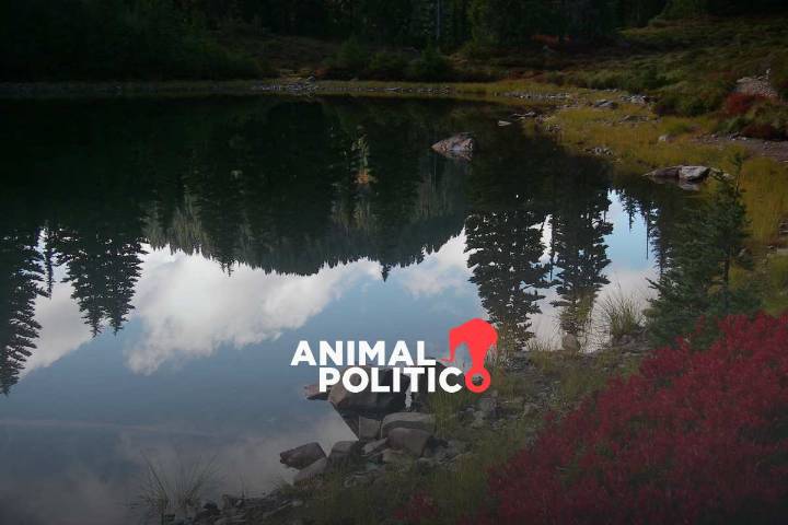 EU impondrá un recargo a visitantes extranjeros en los parques nacionales; te decimos de cuánto