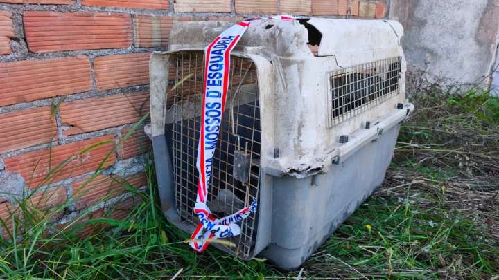 Detienen a un hombre por maltratar a la perra que apareció muerta dentro de un transportín en un estanque en Sils