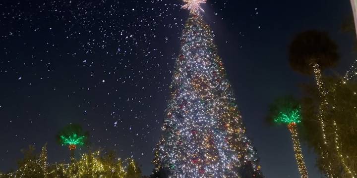 “Light Up Ocala” Rings in the Holiday Season in Marion County