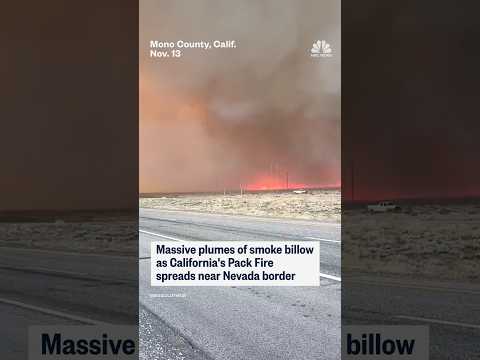 Massive plumes of smoke billow as California Pack Fire spreads near Nevada border