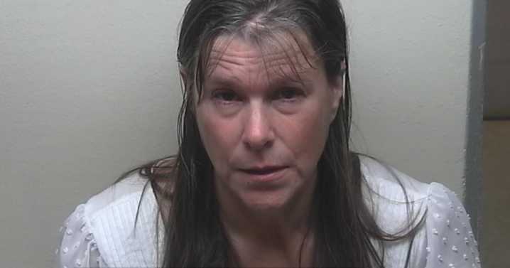 Woman accused of murdering mother-in