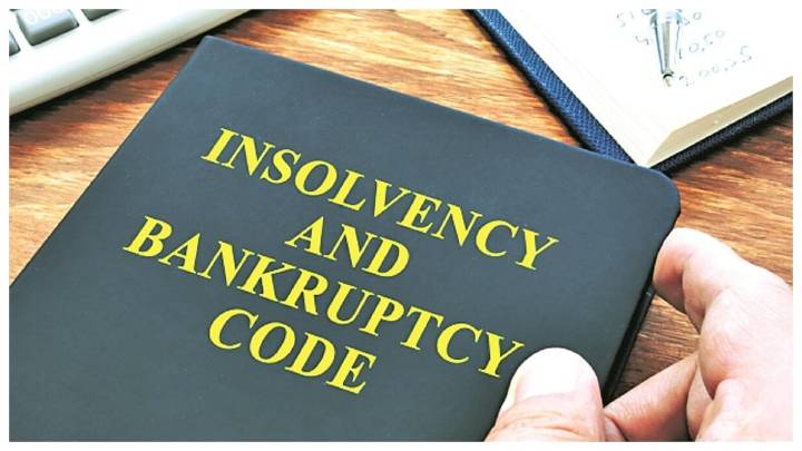 IBBI Asks Resolution Professionals To Submit Detailed Notes On Bidders' Compliance With Insolvency Law's Section 29A