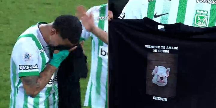 El conmovedor llanto de Edwin Cardona tras dedicarle un gol a su mascota fallecida