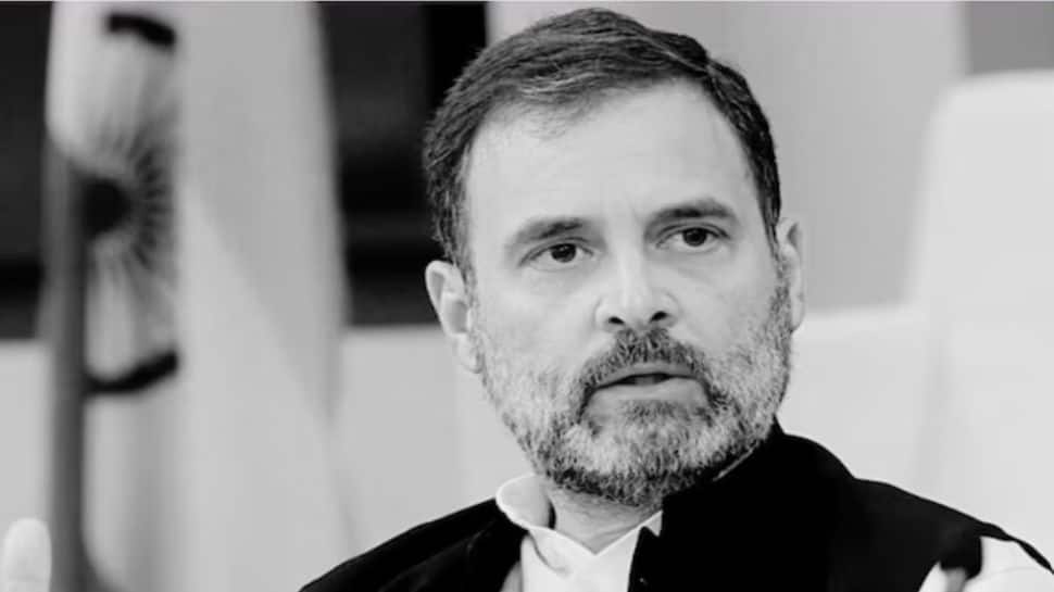 ‘Who Will Vote For Congress Now? Have You Ever Thought About It…’: An Open Letter To Rahul Gandhi After The Bihar Defeat