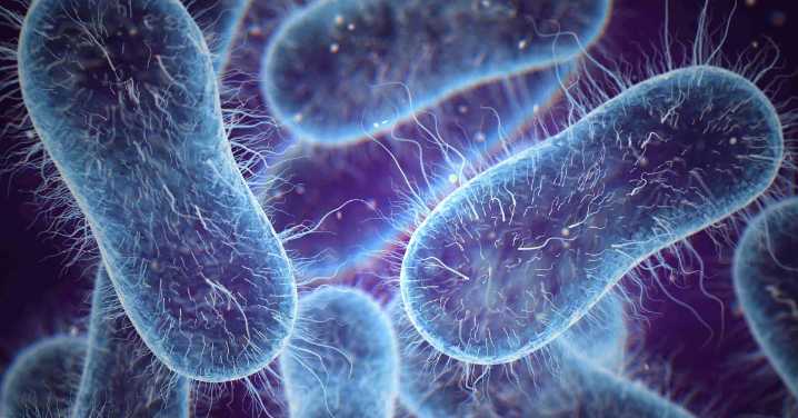 Cusco logra contener peligrosa bacteria en la UCI del Hospital Antonio Lorena y evita una grave emergencia sanitaria