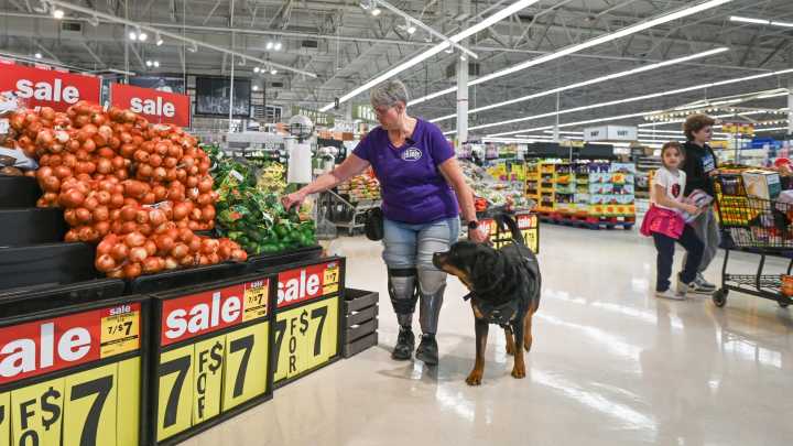 What the North Carolina law says about dogs in grocery stores