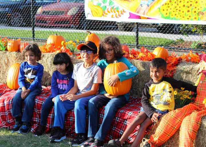 Lumberjacks, line dancing & live band at free Fall Harvest Festival in north Broward