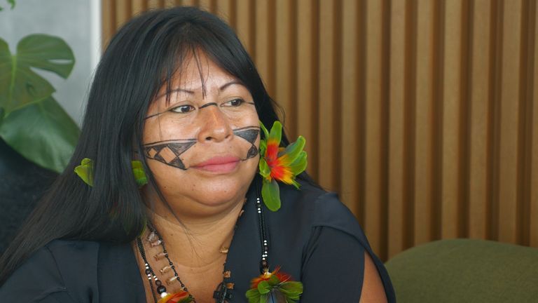 'Women are afraid to get pregnant': Indigenous people fight mercury poisoning from illegal gold mining in Brazil