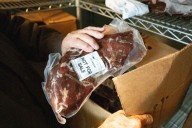 Tribes that restored buffalo are killing some to feed people because of the shutdown