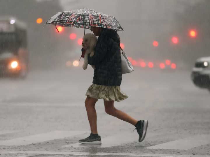 Clima hoy: hay alerta de tormenta y granizo en 11 provincias incluida Buenos Aires y qué pasa con el doble ciclón tropical de Brasil