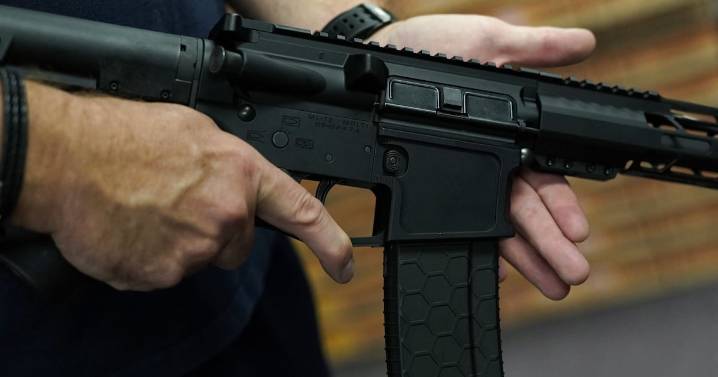 Cómo es la medida autorizada por Milei que permite a civiles comprar fusiles semiautomáticos en Argentina