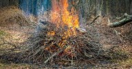 Drought prompts burn ban in Waynesboro