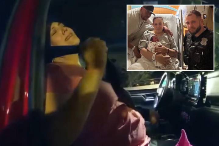 Michigan police officer Mohamed Hachem delivers baby girl on side of road during traffic stop