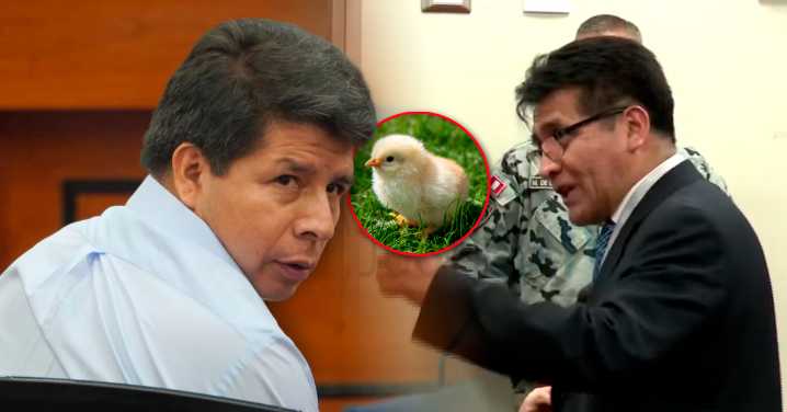 Abogado de Pedro Castillo durante juicio por golpe de Estado: "Ustedes tienen el pollo en sus manos"