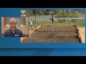 11Alive News: The Take | AI agriculture initiative brings coding to farmlands (11/6/25)