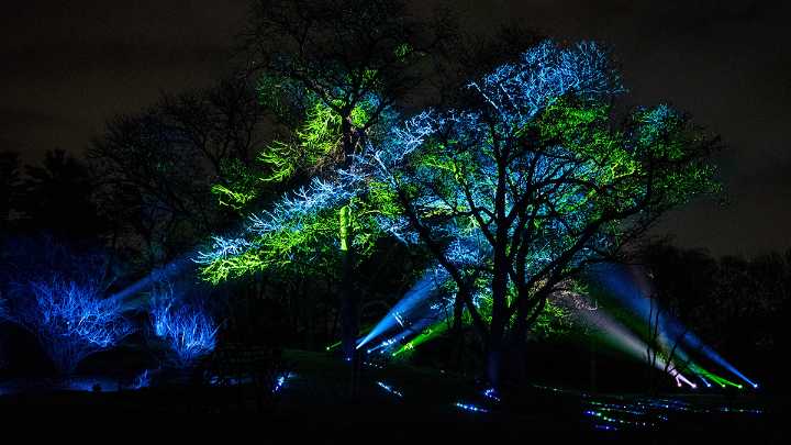 Things to do in the Chicago area this weekend: Nov. 14