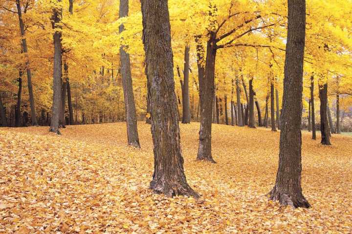 Minnesotans are encouraged to explore outdoors with friends and family over Thanksgiving holiday weekend