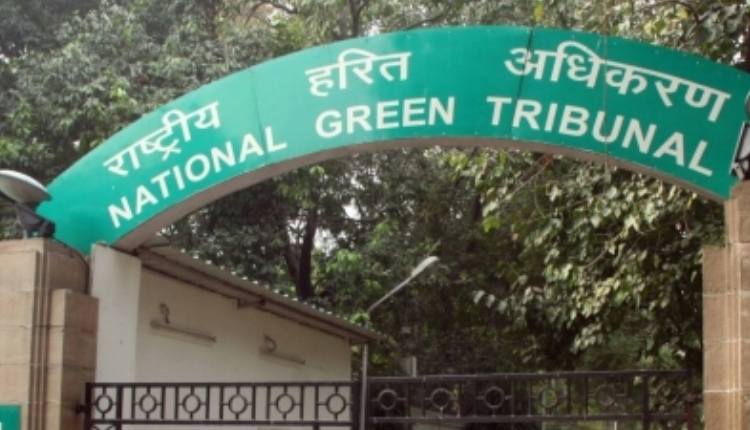 NGT Orders Action Against Industries Discharging Untreated Effluents Into Ganga, Yamuna
