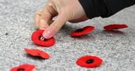 WATCH LIVE: Remembrance Day ceremony at Halifax’s Grand Parade