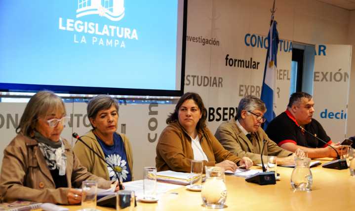 Diputados: Utelpa y CTA en contra de la adhesión a la ley de riesgo de trabajo