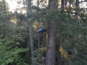 Oregon gifts for outdoor adventurers: 8 fun experiences from tree climbing to whale watching