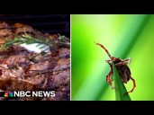 First reported death from meat allergy caused by tick bite