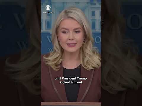 White House press secretary says Epstein “emails prove absolutely nothing” after release #shorts