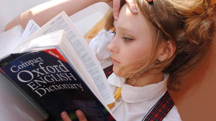 "Skibidi Toilet" Added to Oxford English Dictionary