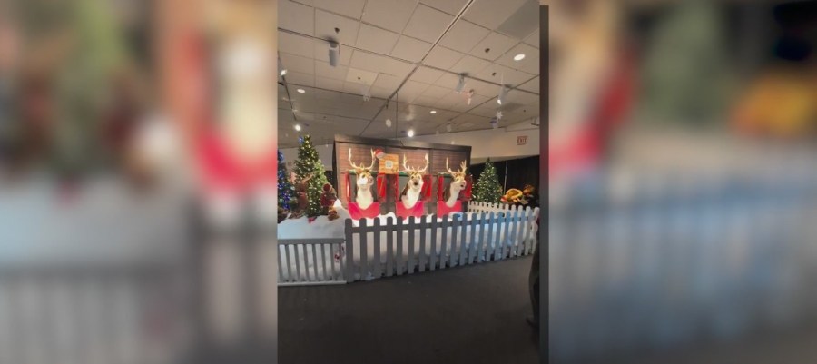 The Enchanted Forest returns to the Pink Palace museum