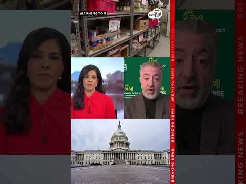 "Everybody in Congress not doing their work," Expert explains #governmentshutdown