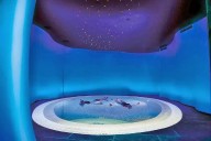 Guía para un invierno en Cantabria sin esquiar y sin aburrirse