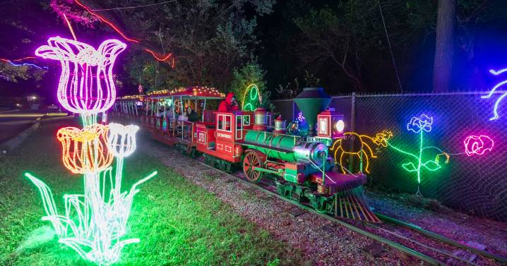 Celebration in the Oaks, City Park’s fabulous holiday display, is back with a few new features